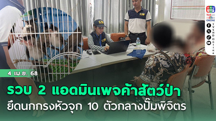 รวบ 2 แอดมินเพจค้าสัตว์ป่า ยึดนกกรงหัวจุก 10 ตัวกลางปั๊มพิจิตร
