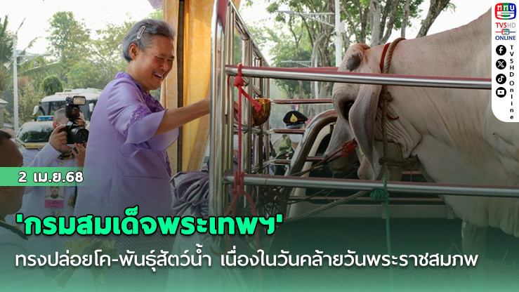 'กรมสมเด็จพระเทพฯ'ทรงปล่อยโค-พันธุ์สัตว์น้ำ เนื่องในวันคล้ายวันพระราชสมภพ