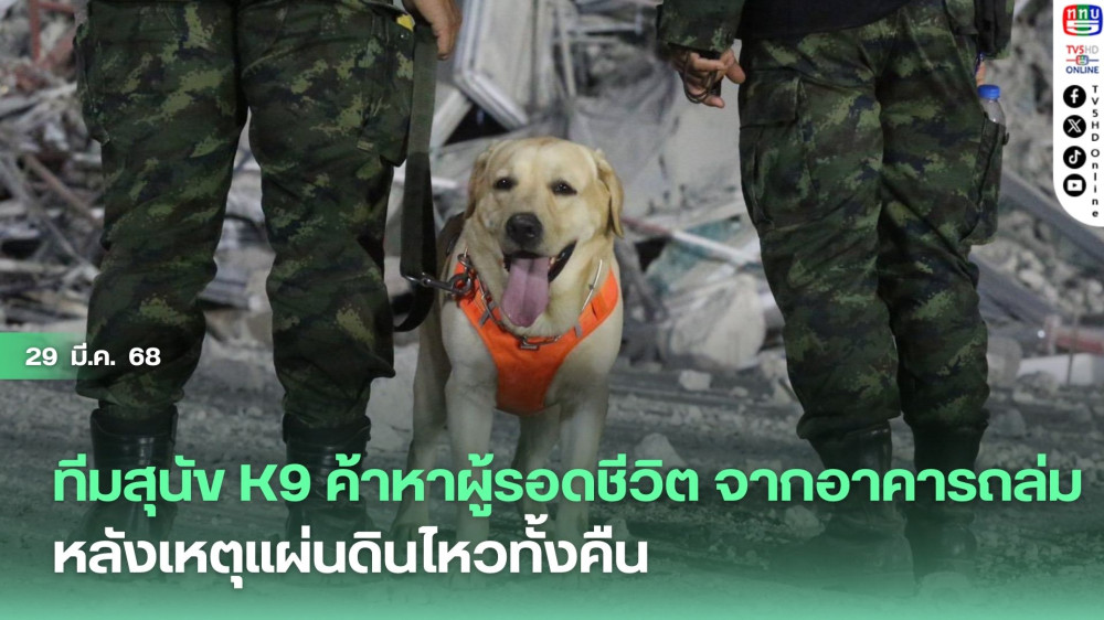 ทีมสุนัข K9 ค้าหาผู้รอดชีวิต จากอาคารถล่ม หลังเหตุแผ่นดินไหวทั้งคืน