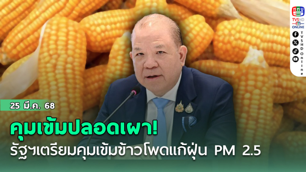 คุมเข้มปลอดเผา! “พิชัย” แจง รัฐบาลเตรียมออก 4 มาตรการคุมเข้มข้าวโพดแก้ฝุ่น PM 2.5