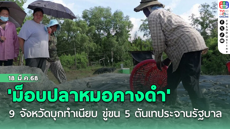 'ม็อบปลาหมอคางดำ'19 จังหวัดบุกทำเนียบ ขู่ขน 5 ตันเทประจานรัฐบาล