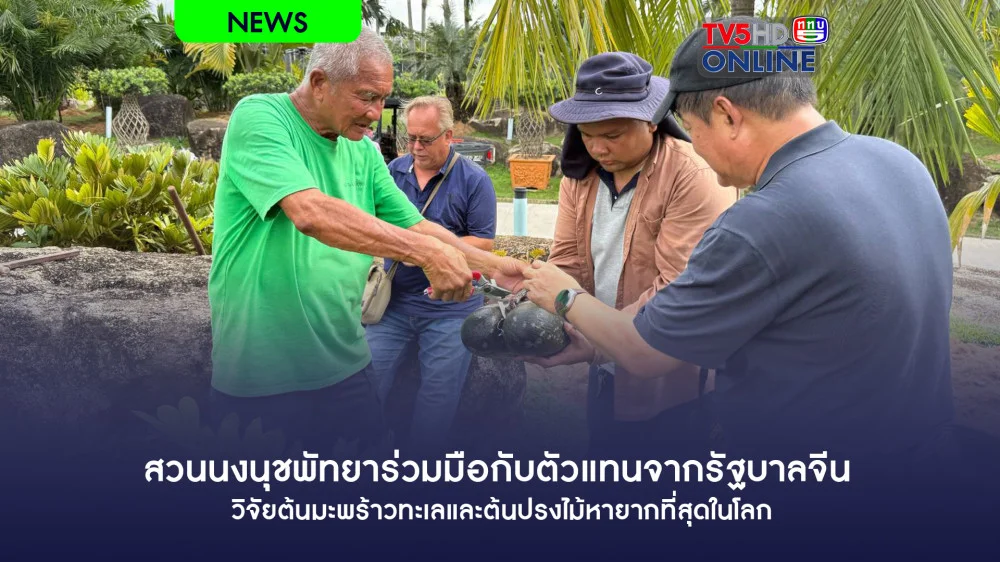 สวนนงนุชพัทยาร่วมมือกับตัวแทนจากรัฐบาลจีนวิจัยต้นมะพร้าวทะเลและต้นปรงไม้หายากที่สุดในโลก