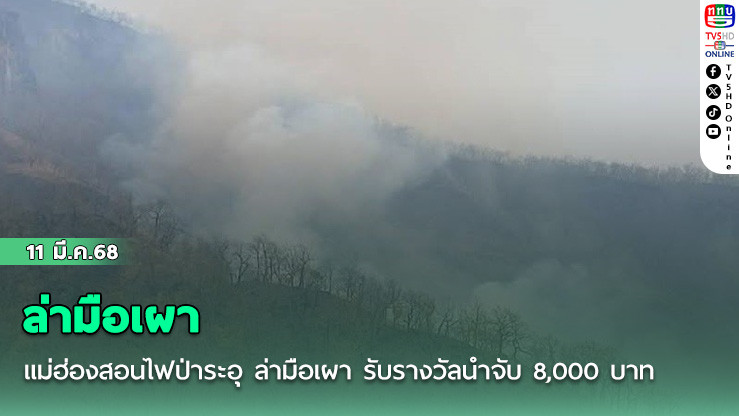 แม่ฮ่องสอนไฟป่าระอุ ล่ามือเผา รับรางวัลนำจับ 8,000 บาท