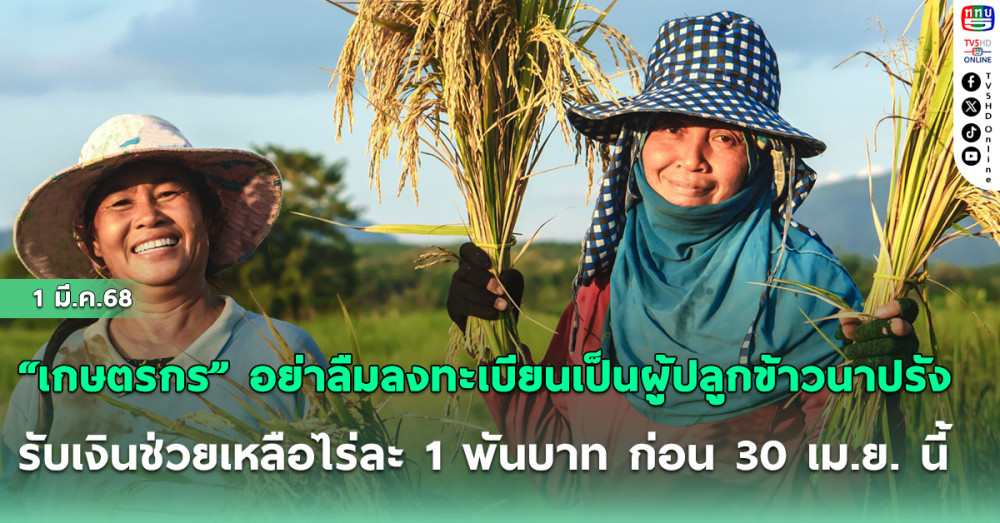 ย้ำเตือน “เกษตรกร” อย่าลืมลงทะเบียนเป็นผู้ปลูกข้าวนาปรัง ปี 68 รับเงินช่วยเหลือไร่ละ 1 พันบาท ก่อน 30 เม.ย. นี้