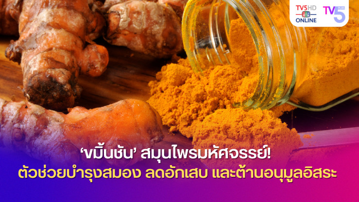 ‘ขมิ้นชัน’ สมุนไพรมหัศจรรย์! ตัวช่วยบำรุงสมอง ลดอักเสบ และต้านอนุมูลอิสระ