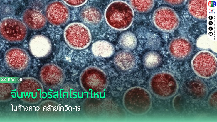 จีนพบไวรัสโคโรนาใหม่ในค้างคาว คล้ายโควิด-19