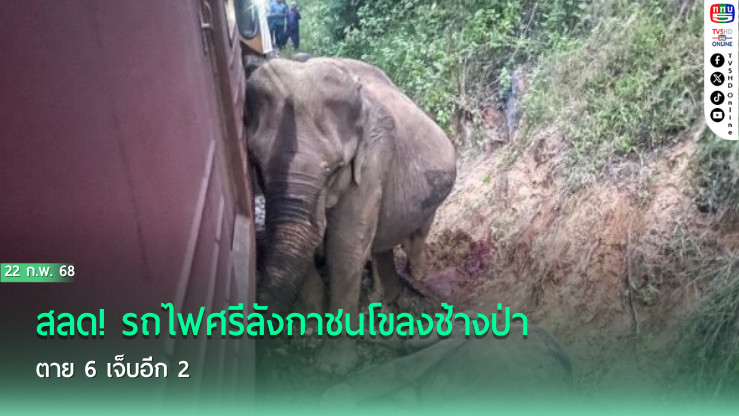 สลด! รถไฟศรีลังกาชนโขลงช้างป่า ตาย 6 เจ็บอีก 2 