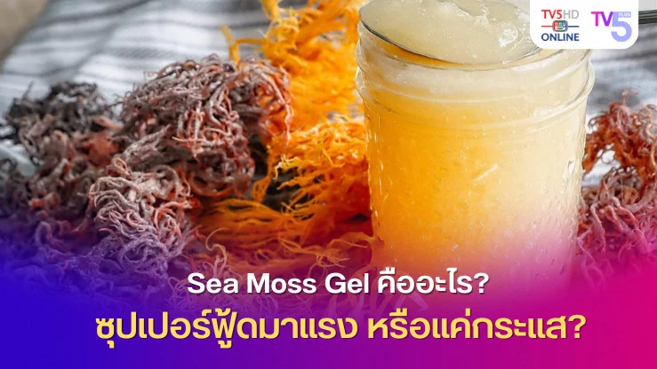 Sea Moss Gel คืออะไร? ซุปเปอร์ฟู้ดมาแรง หรือแค่กระแส?