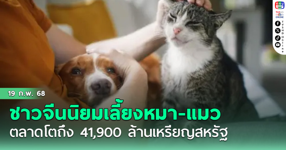 ชาวจีนนิยมเลี้ยงหมา-แมวเพิ่มขึ้น ปี’67 ตลาดโตถึง 41,900 ล้านเหรียญสหรัฐ