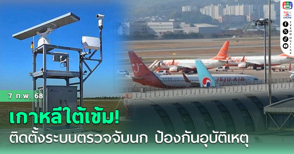 เกาหลีใต้เข้ม! ติดตั้งระบบตรวจจับนก ป้องกันอุบัติเหตุการบิน
