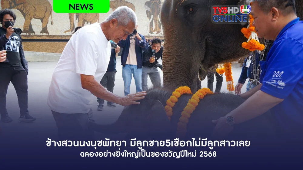 ช้างสวนนงนุชพัทยา มีลูกชาย5เชือกไม่มีลูกสาวเลย ฉลองอย่างยิ่งใหญ่เป็นของขวัญปีใหม่ 2568