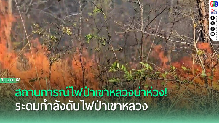 ระดมกำลังดับไฟป่าเขาหลวง 