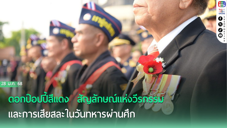 ดอกป๊อปปี้สีแดง  สัญลักษณ์แห่งวีรกรรมและการเสียสละในวันทหารผ่านศึก