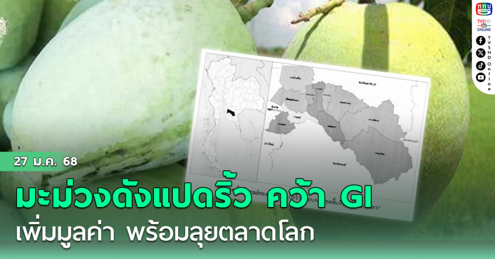 มะม่วงดังแปดริ้ว คว้า GI เพิ่มมูลค่า พร้อมลุยตลาดโลก
