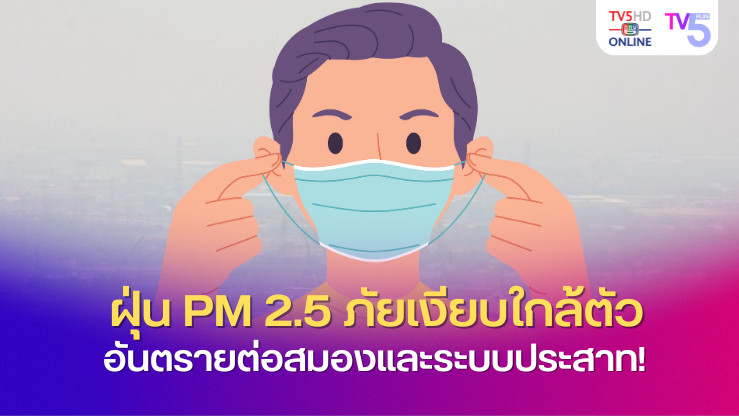 ฝุ่น PM 2.5 ภัยเงียบใกล้ตัว อันตรายต่อสมองและระบบประสาท!