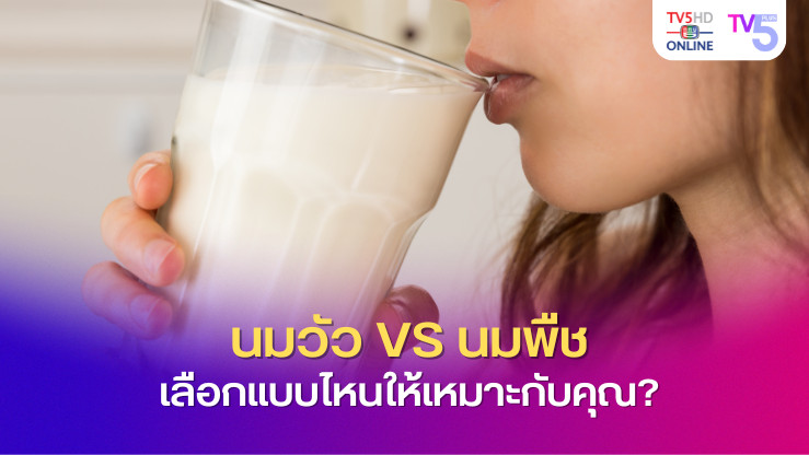 นมวัว VS นมพืช เลือกแบบไหนให้เหมาะกับคุณ? 