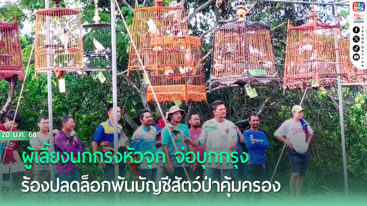  ผู้เลี้ยงนกกรงหัวจุก จ่อบุกกรุง ร้องปลดล็อกพ้นบัญชีสัตว์ป่าคุ้มครอง