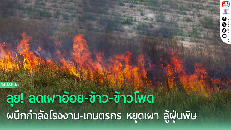 คพ. ลุย! ลดเผาอ้อย-ข้าว-ข้าวโพด สู้ PM2.5