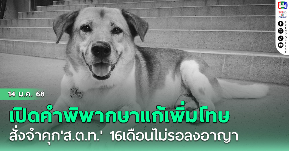 เปิดคำพิพากษาแก้เพิ่มโทษสั่งจำคุก'ส.ต.ท.' 16 เดือนไม่รอลงอาญาคดีฆ่า'เตี้ย มช.'