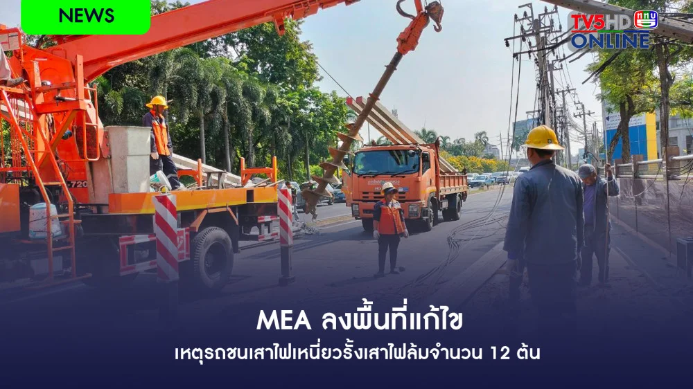 วันนี้ (5 ม.ค. 68) MEA ลงพื้นที่แก้ไขเหตุรถชนเสาไฟเหนี่ยวรั้งเสาไฟล้มจำนวน 12 ต้น