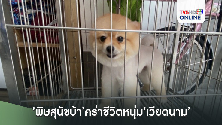 ‘พิษสุนัขบ้า’คร่าชีวิตหนุ่ม‘เวียดนาม’ เจ้าของร้านอาหารเมนูเนื้อ‘ตูบ-เหมียว’