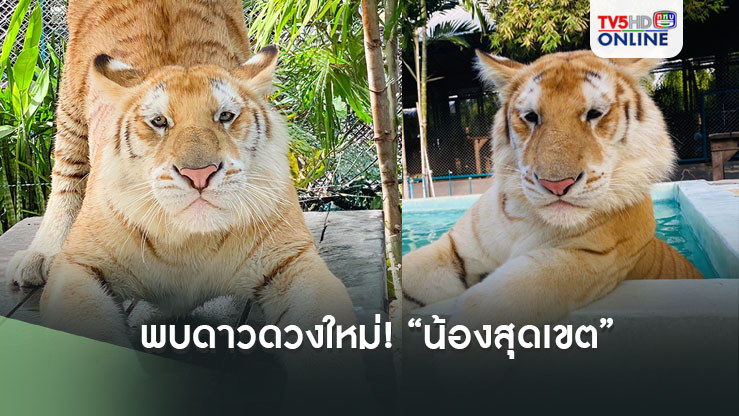 พบดาวดวงใหม่! “สุดเขต”