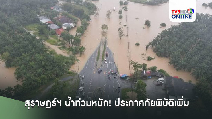 สุราษฎร์ฯ น้ำท่วมหนัก! ประกาศภัยพิบัติเพิ่มเป็น 8 อำเภอ