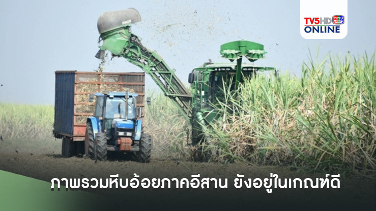 สอน. เผยภาพรวมหีบอ้อยภาคอีสาน ยังอยู่ในเกณฑ์ดี