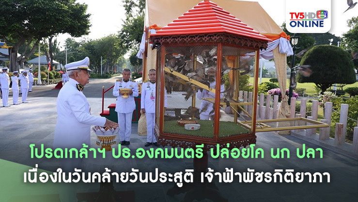โปรดเกล้าฯ ปธ.องคมนตรี ปล่อยโค นก ปลา เนื่องในวันคล้ายวันประสูติ เจ้าฟ้าพัชรกิติยาภา