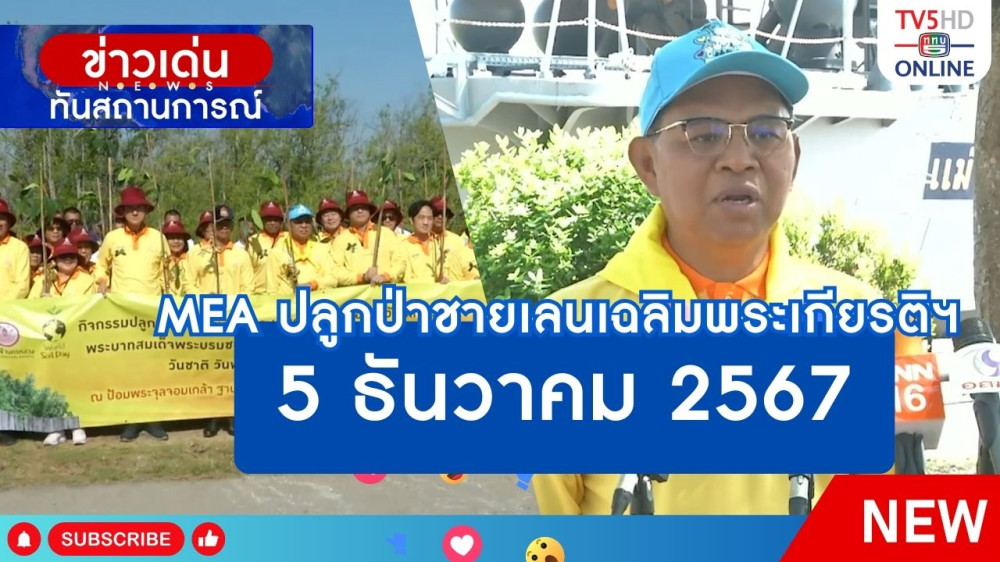 MEA ปลูกป่าชายเลนเฉลิมพระเกียรติฯ 5 ธันวาคม 2567