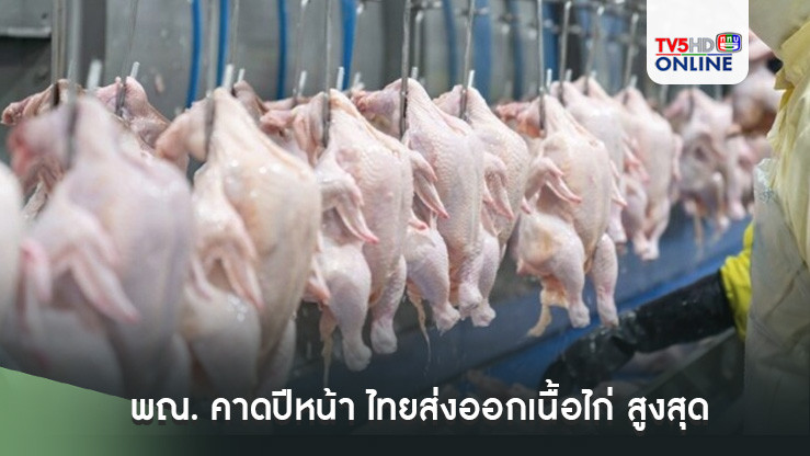 พณ. คาดปีหน้า ไทยส่งออกเนื้อไก่ สูงสุดเป็นประวัติการณ์ ทั่วโลกบริโภค13.8 ล้านตัน
