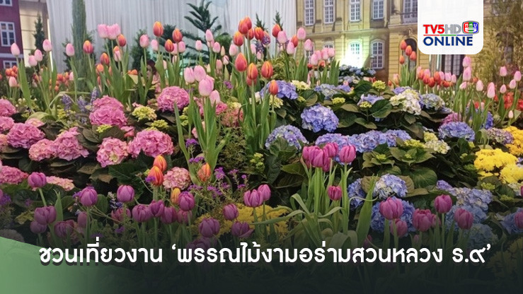 1-10 ธันวาคมนี้ ‘กฟผ.’ชวนเที่ยวงาน ‘พรรณไม้งามอร่ามสวนหลวง ร.๙’