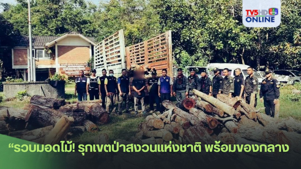 “รวบมอดไม้! รุกเขตป่าสงวนแห่งชาติ พร้อมของกลาง 