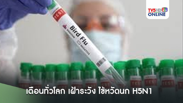  เตือนทั่วโลก เฝ้าระวัง ไข้หวัดนก H5N1