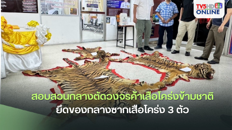ตำรวจสอบสวนกลางตัดวงจรค้าเสือโคร่งข้ามชาติยึดของกลางซากเสือโคร่ง 3 ตัว
