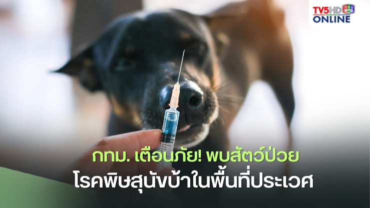 ประเวศ พบสัตว์ป่วยพิษสุนัขบ้า