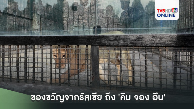 ของขวัญจากรัสเซีย ถึง 'คิม จอง อึน'