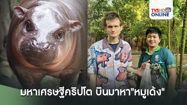 มหาเศรษฐีคริปโต บินมาหา"หมูเด้ง"