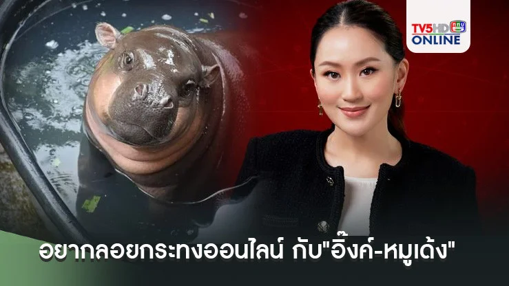 โพล ชี้ คนอยากลอยกระทงออนไลน์ กับ"อิ๊งค์-หมูเด้ง"