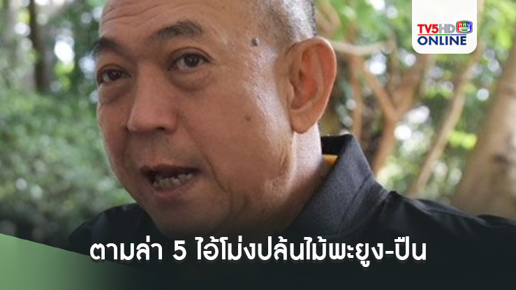 "เฉลิมชัย"จี้"กรมป่าไม้" เร่งประสานตำรวจ ตามล่า 5 ไอ้โม่งปล้นไม้พะยูง-ปืน