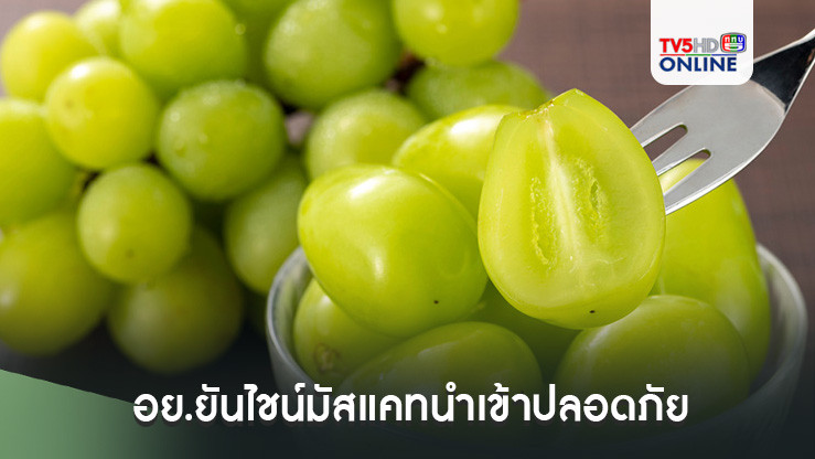 อย.ยันไชน์มัสแคทนำเข้าปลอดภัย