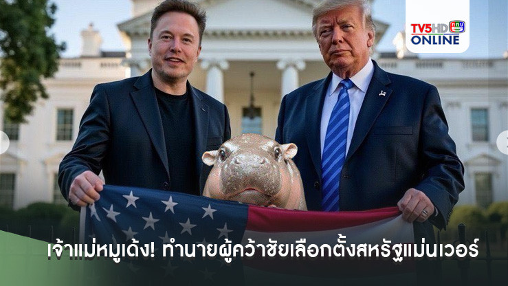 เจ้าแม่หมูเด้ง! ทำนายผู้คว้าชัยเลือกตั้งสหรัฐแม่นเวอร์ สื่อนอกแซวสนั่น'เด้งลูกสาวทรัมป์'
