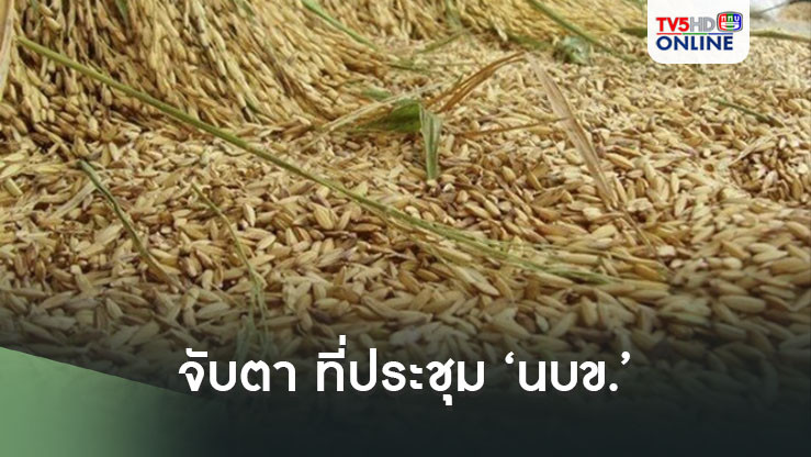 จับตา ที่ประชุม ‘นบข.’ 8 พ.ย. ขยับราคาขั้นต่ำปล่อยสินเชื่ออีก 1,500 บาท/ตัน เป็น 1.3 หมื่นบาท