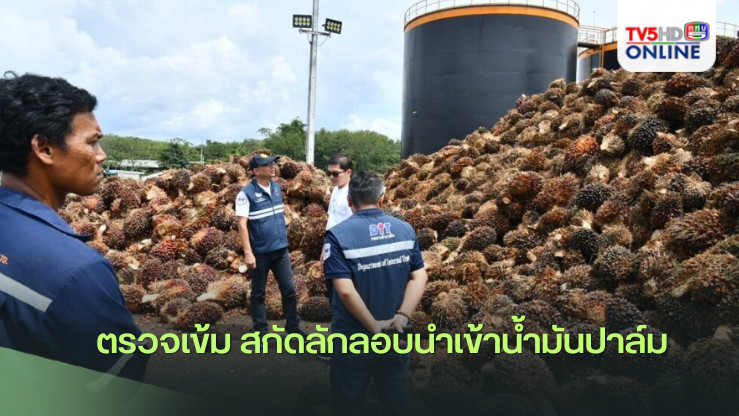ตรวจเข้ม สกัดลักลอบนำเข้าน้ำมันปาล์ม