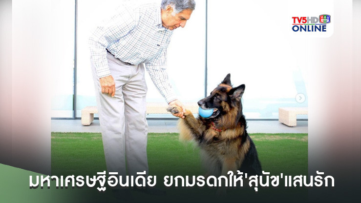 ตะลึงทั้งโลก! 'ราตัน ทาทา'มหาเศรษฐีอินเดียผู้ล่วงลับ ยกมรดก4พันล้านให้'สุนัข'แสนรัก