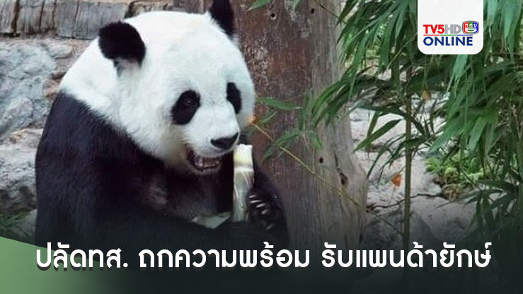 ปลัดทส. ถกความพร้อม รับแพนด้ายักษ์ ทูตสันถวไมตรี ไทย-จีน 50 ปี