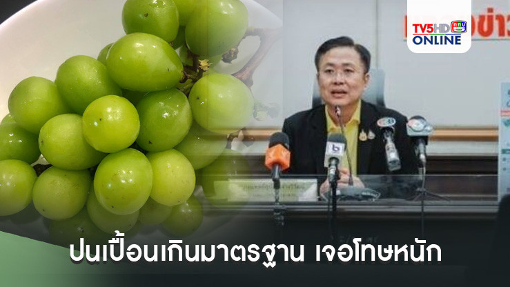 องุ่นไชน์มัสแคท ปนเปื้อนเกินมาตรฐาน เจอโทษหนัก 