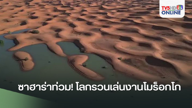 ซาฮาร่าท่วม! โลกรวนเล่นงานโมร็อกโก