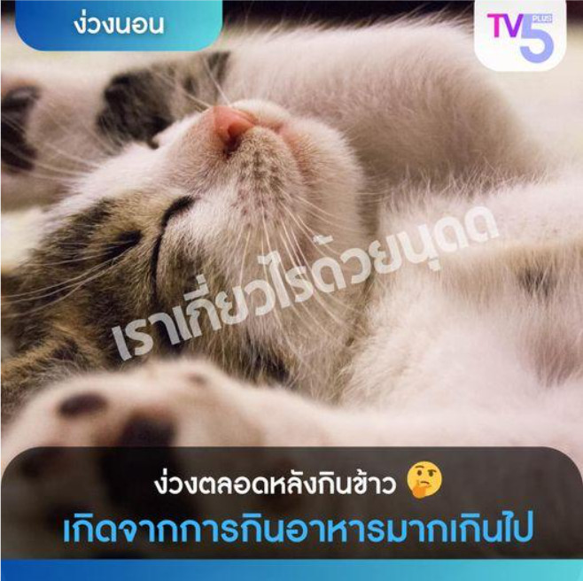ง่วงตลอดหลังกินข้าว
