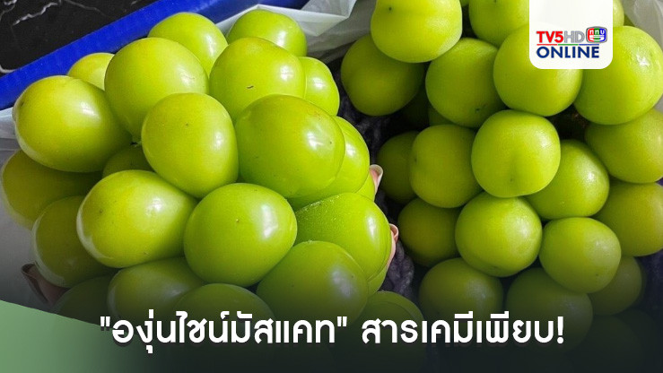 "องุ่นไชน์มัสแคท" สารเคมีเพียบ! 